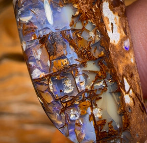78.9cts - Large Australian Boulder Wood Fossil Opal