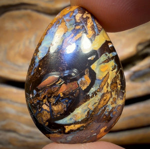 41.2cts - Queensland Boulder Opal from Yowah