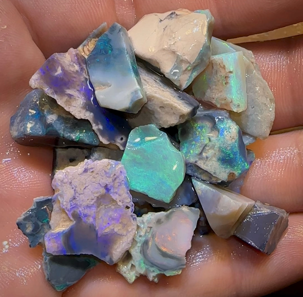 117cts - 22x Lightning Ridge Crystal, Dark and Black Opal Rough Parcel - Opal Whisperers