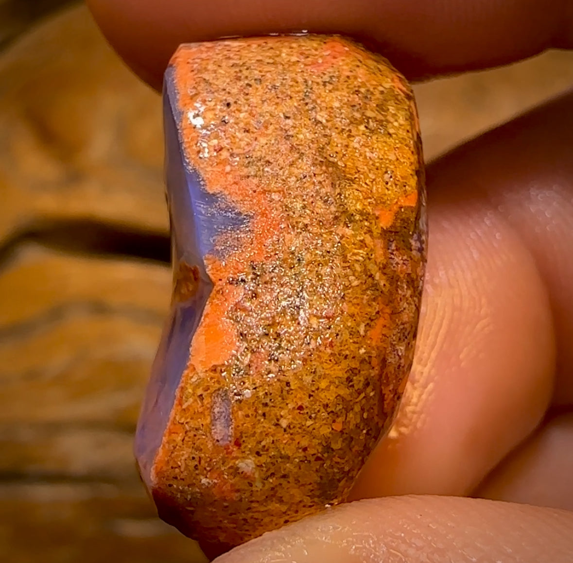 Bargain Card! 30.5cts - Boulder Pipe Opal Rough Piece. Australian Opal