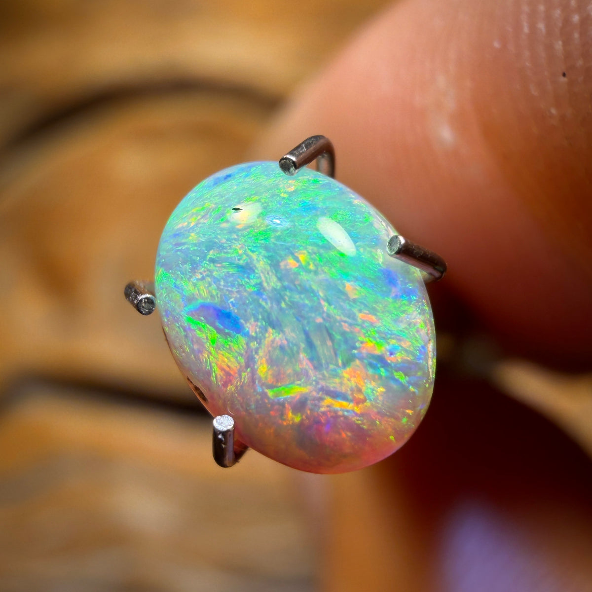 Half Price Card! 0.9cts - Lightning Ridge Crystal Opal