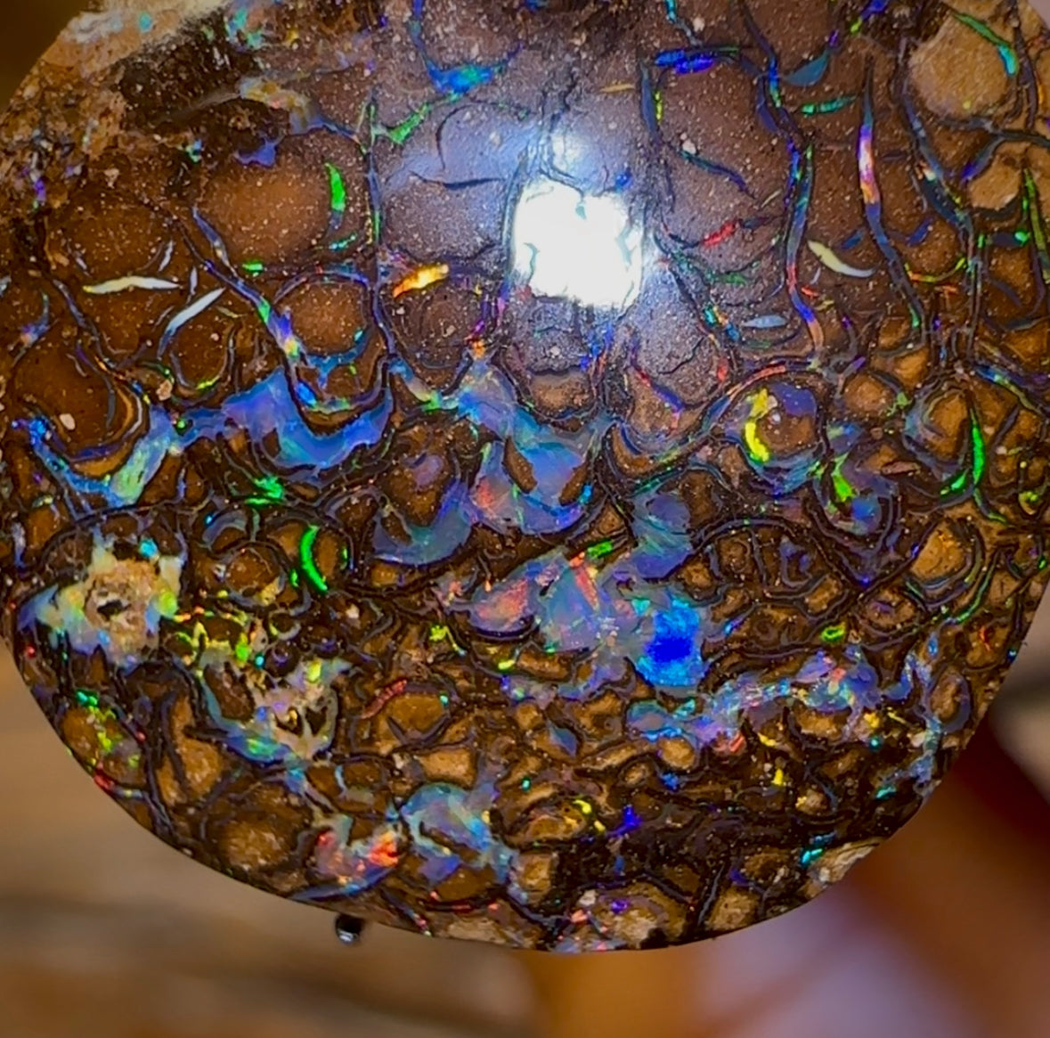 10.9cts - Queensland Boulder Opal. Yowah Tribal - Opal Whisperers