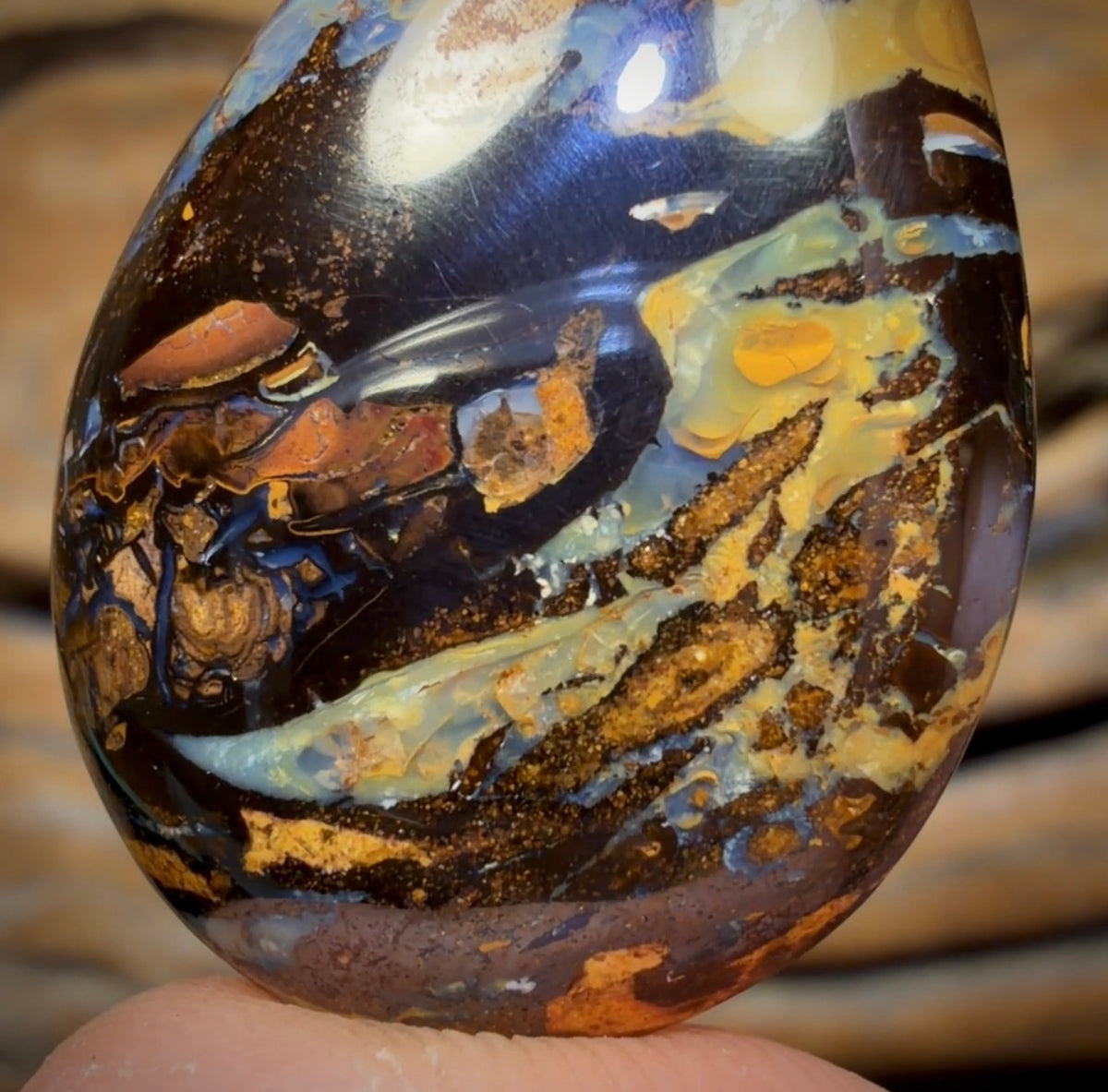 41.2cts - Queensland Boulder Opal from Yowah