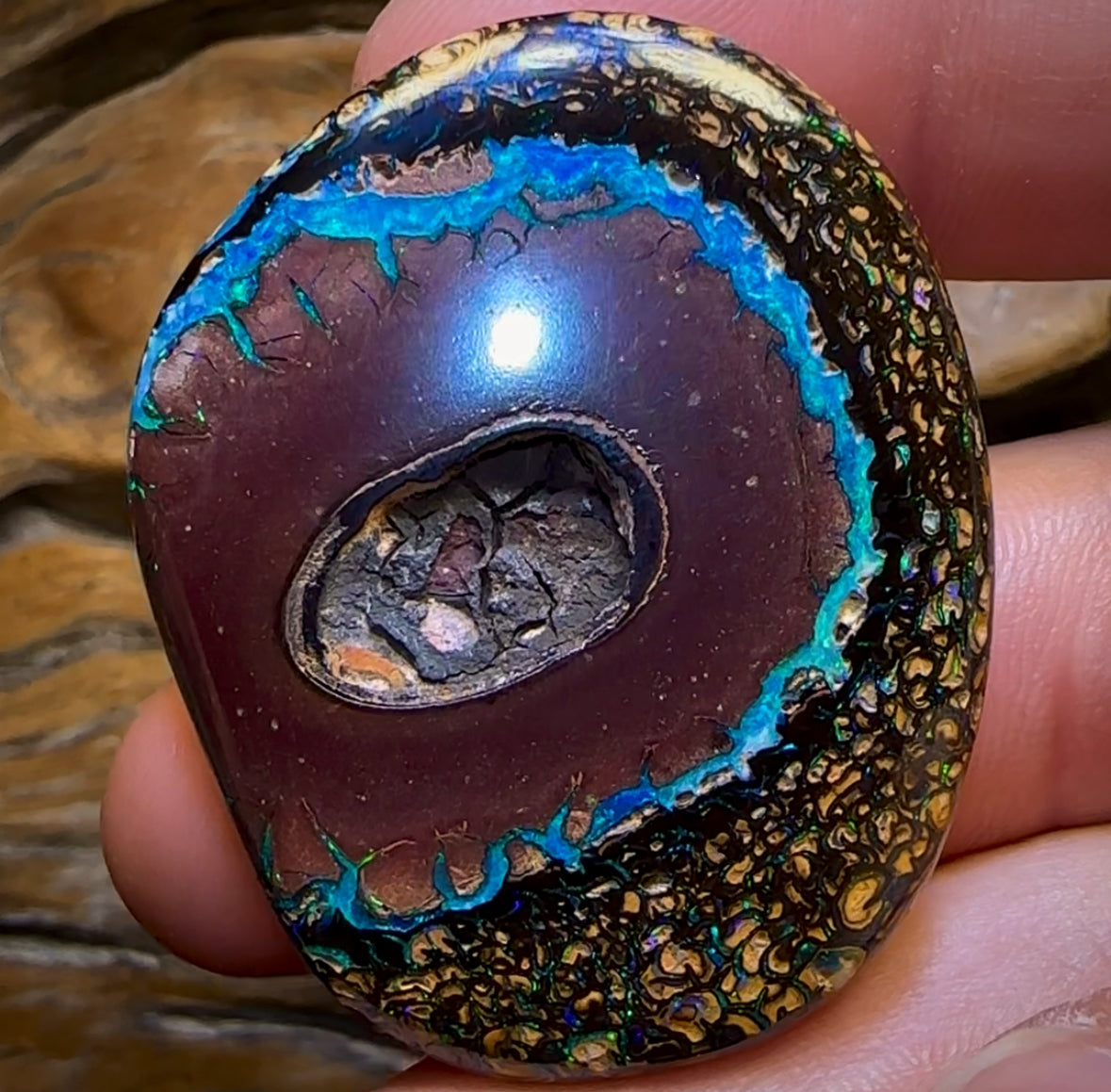 258.1cts - “Crazy Eyes” Top Tribal Yowah Nut Opal Pair. Double Sided