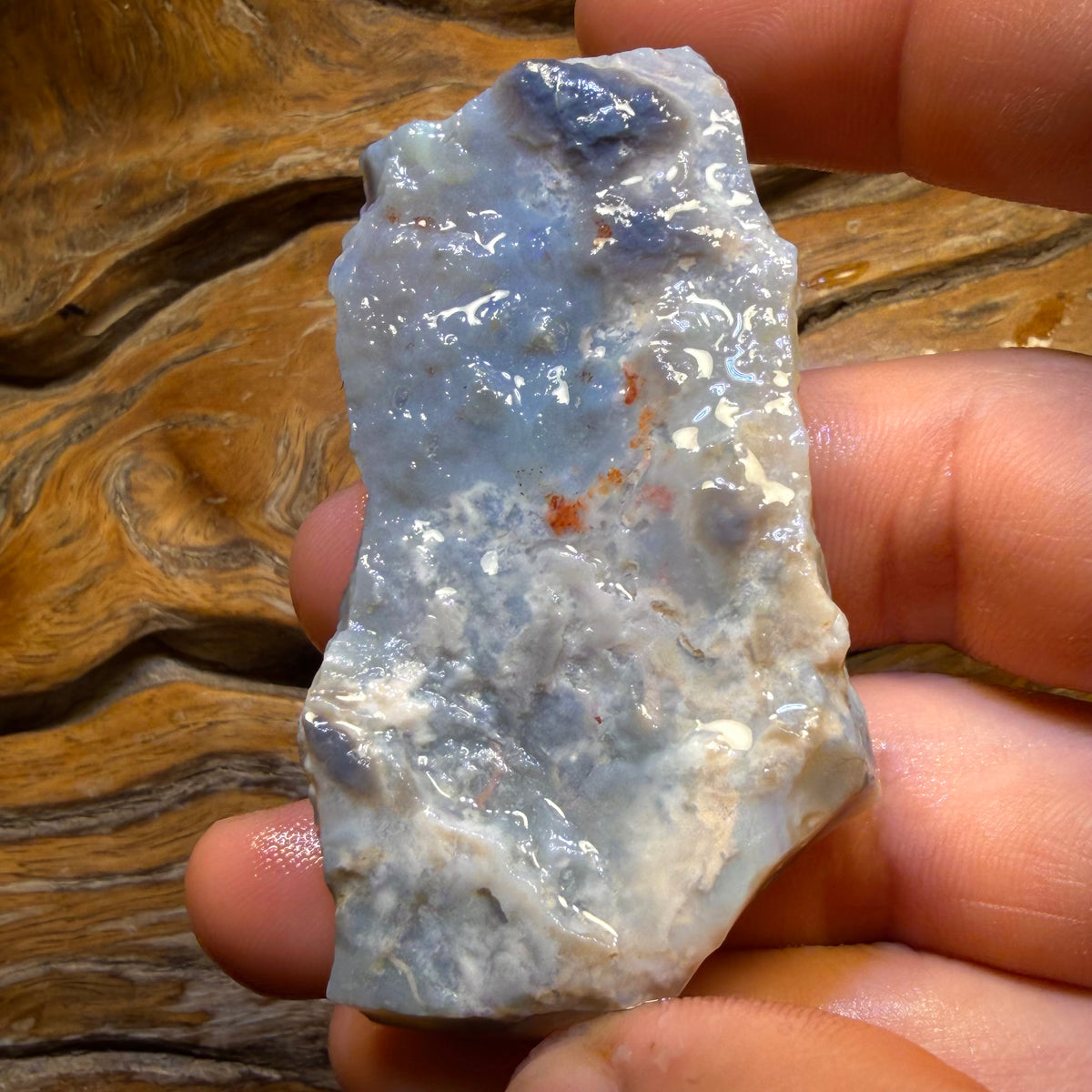 201.6cts - Lightning Ridge Semi Dark Opal Rough Piece