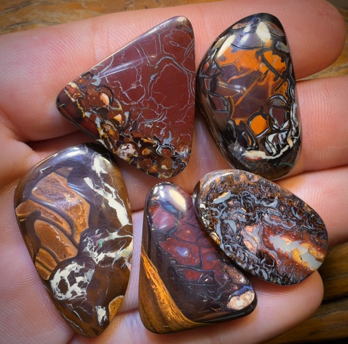 157.2cts - 5x Australian Boulder Opal’s. Wholesale Dealers Parcel