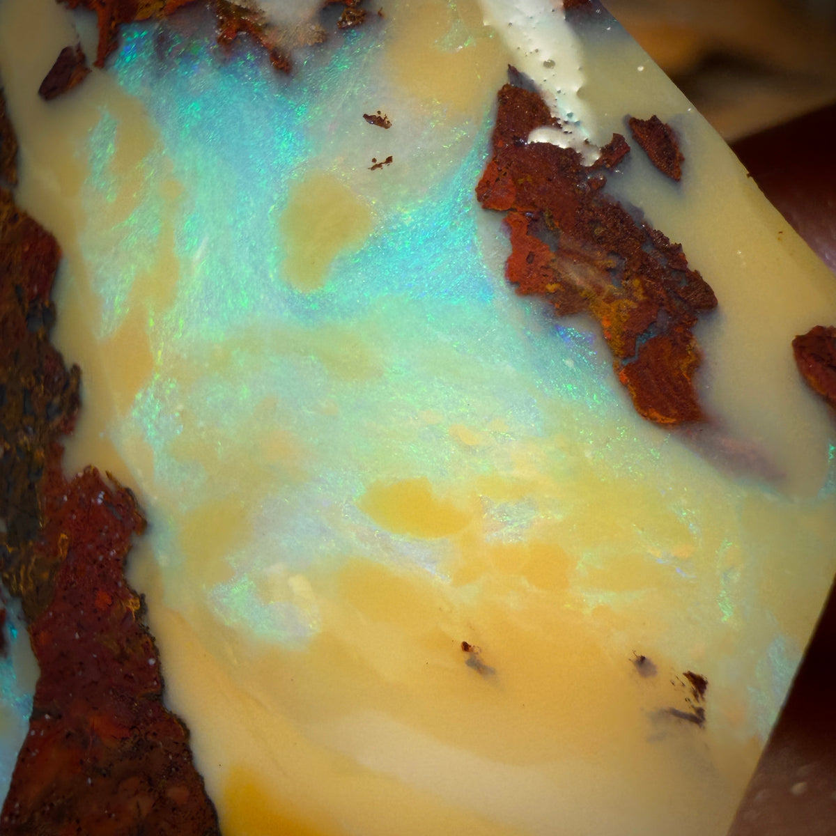 41.7cts - Yowah Nut Opal Rub Rough Boulder Preform