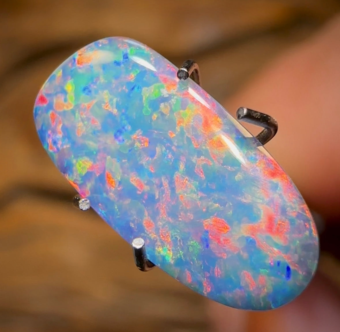 1.8cts - Australian Boulder Opal Doublet - Opal Whisperers