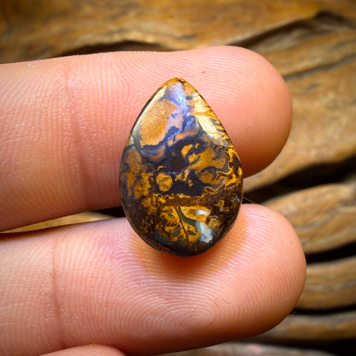 11.8cts - Tribal Queensland Boulder Opal from Yowah