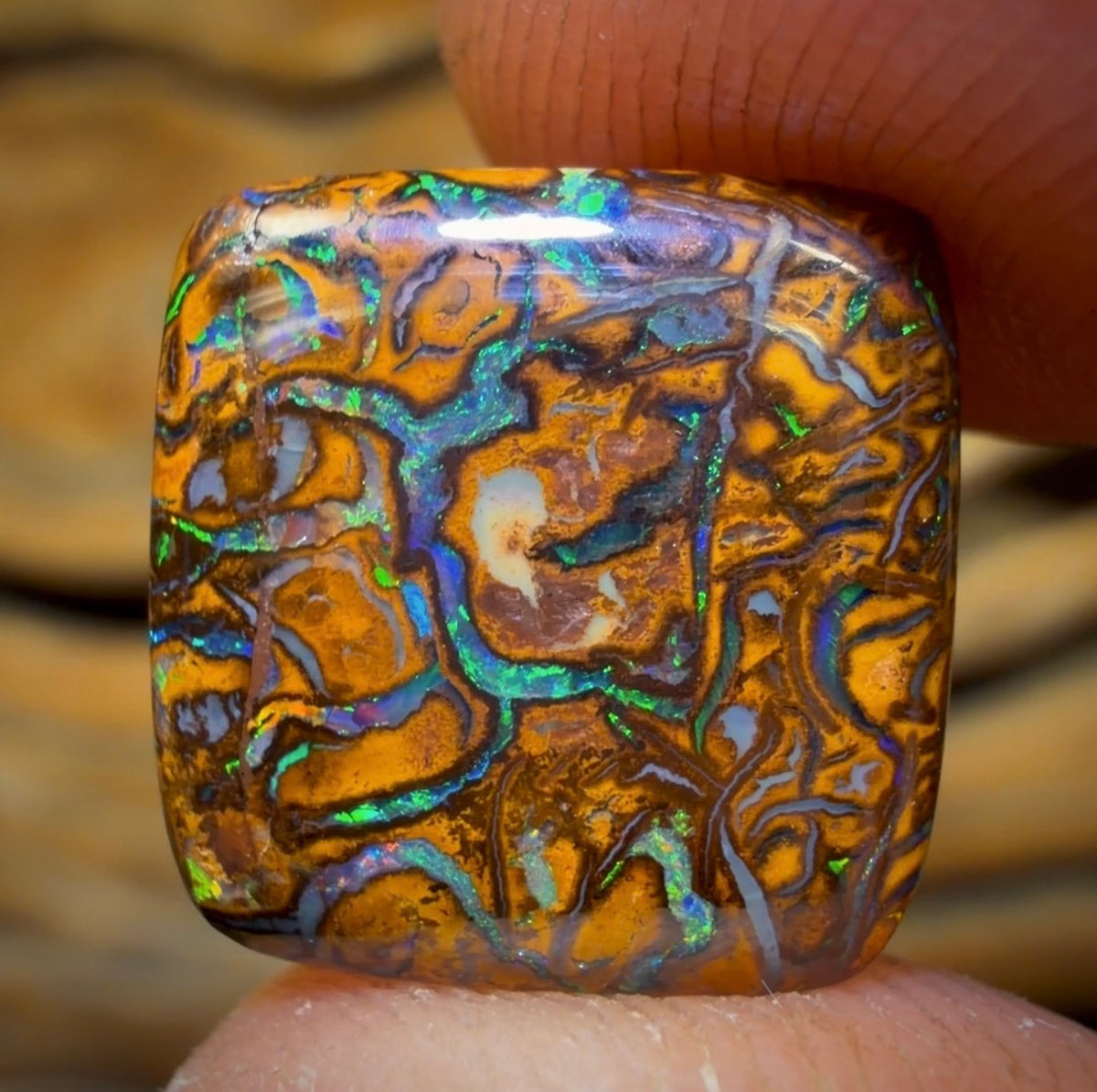 7.3cts - Tan Tribal Yowah Nut Opal. Australian Opal
