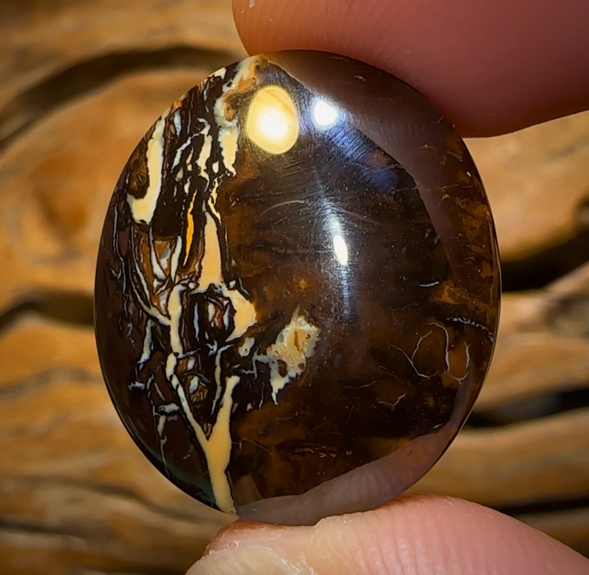 42.5cts - Queensland Boulder Opal from Koroit