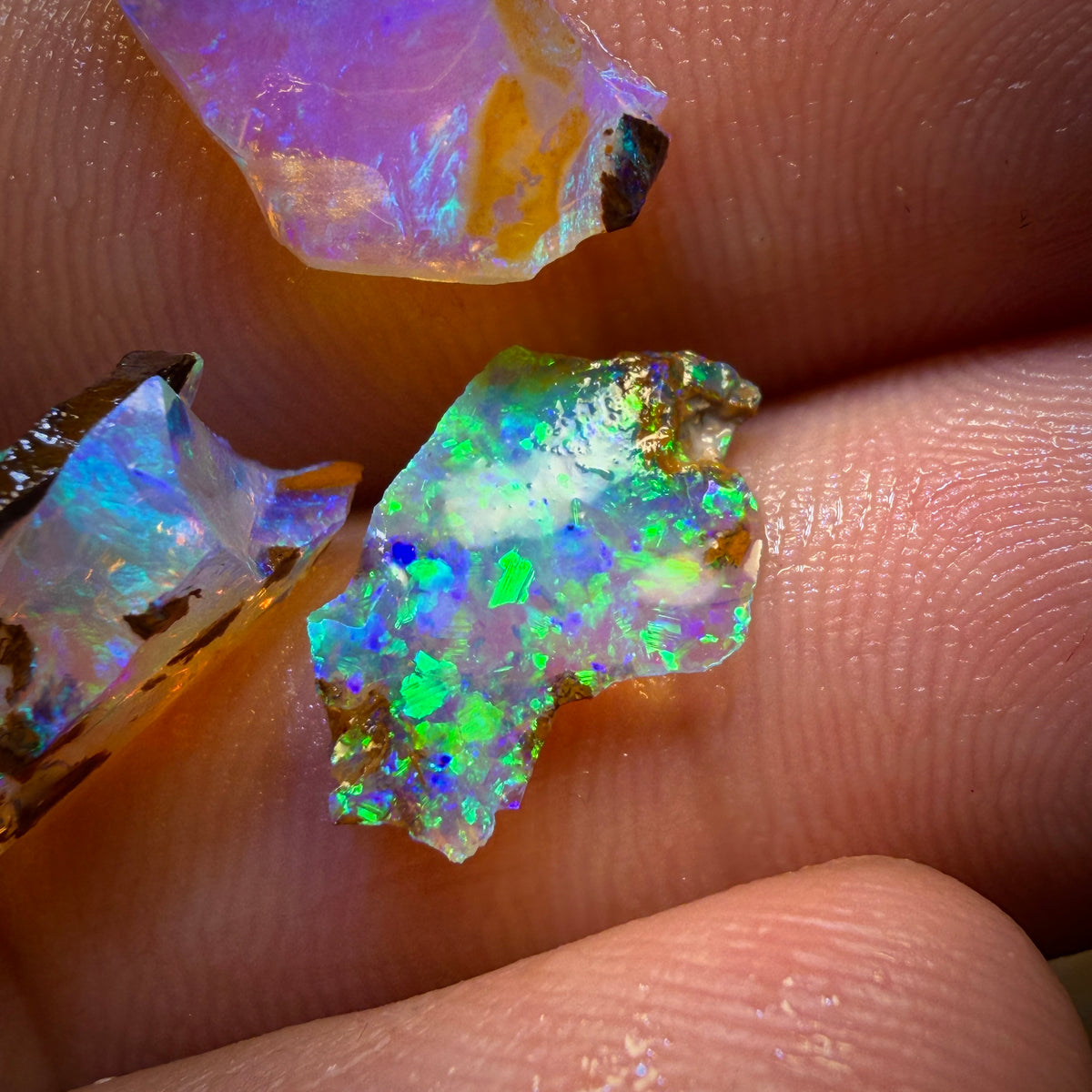 11.2cts - 6x Australian Yowah Wood Fossil Crystal Opal Rough Pieces. Highly Prized Material