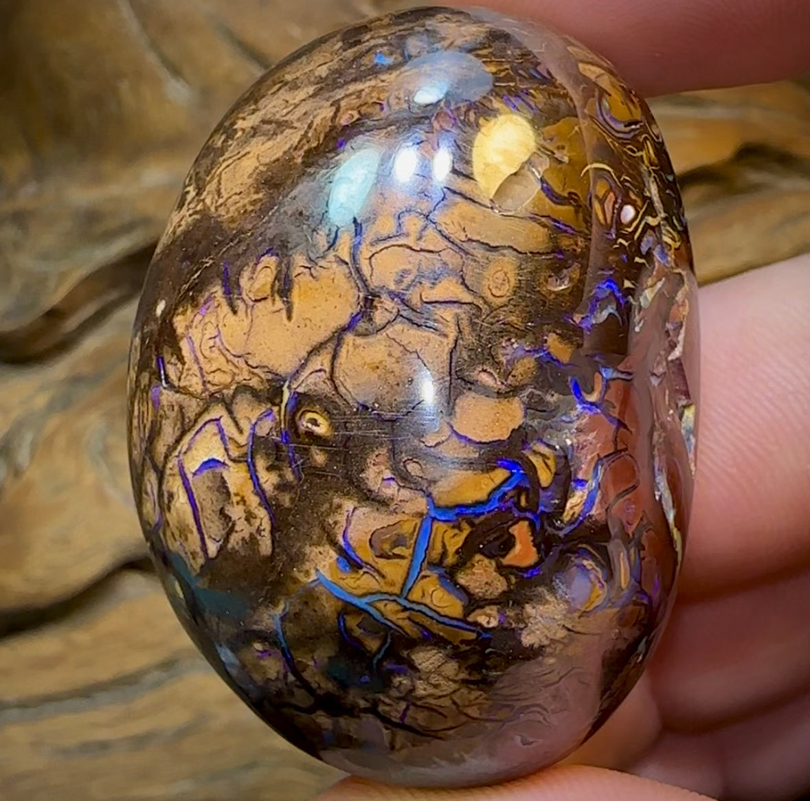 349.7cts - Yowah Nut Opal Polished Specimen. Tribal Pattern - Opal Whisperers