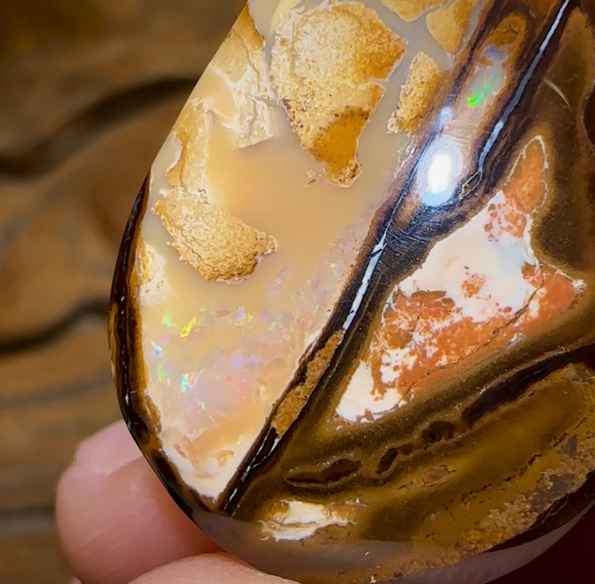 32.5cts - Queensland Boulder Opal from Yowah - Opal Whisperers