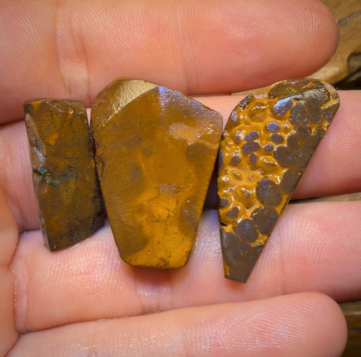 🔒76.1cts - 3x Queensland Boulder Opal Rubs. Bubble Band