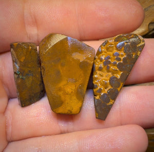 🔒76.1cts - 3x Queensland Boulder Opal Rubs. Bubble Band