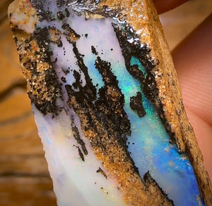 Bargain card! 85.1cts - 2x Queensland Boulder Pipe Opal Rough Pieces