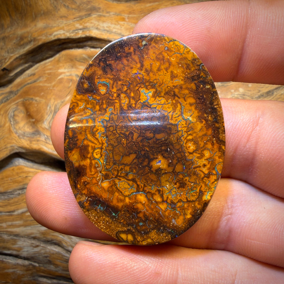 113.4cts - 50% Off Yowah Nut Opal. Australian Opal