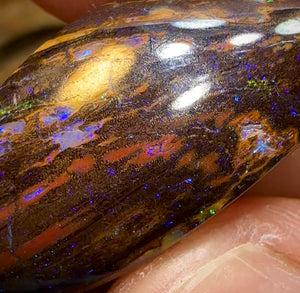 50cts - Double Sided Koroit Unique Tribal and Wood Combination Queensland Boulder Opal - Opal Whisperers