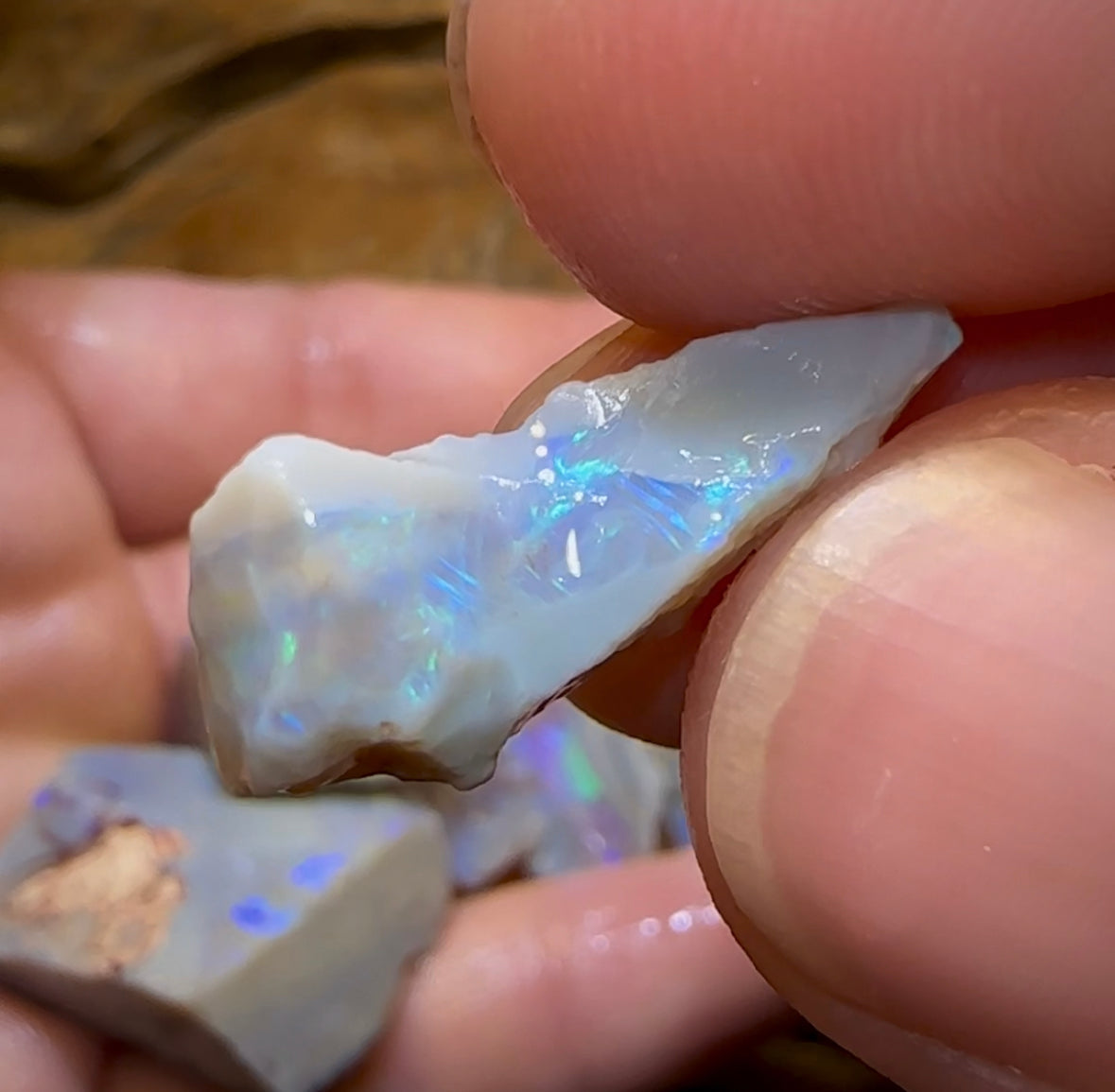 109cts - 6x Lightning Ridge Crystal and Dark Opal Rough Parcel - Opal Whisperers