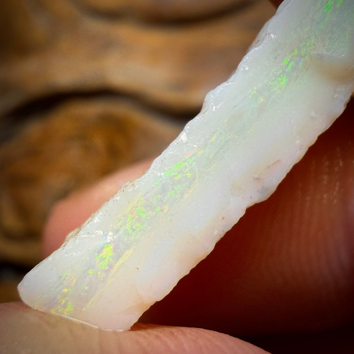 12.2cts - South Australian White Opal Rough Piece