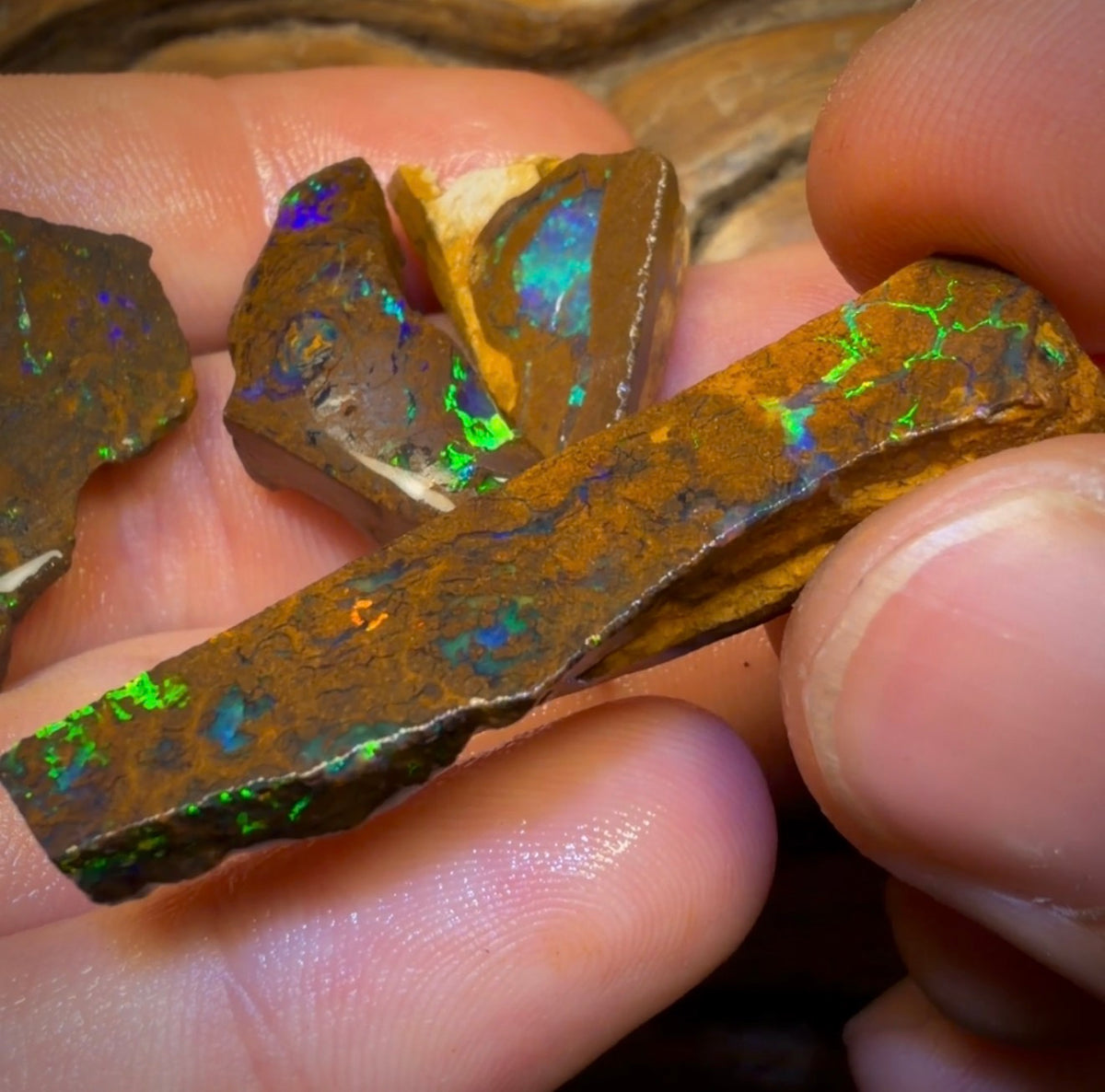🔒99.2cts - 5x Australian Boulder Opal Rough Parcel