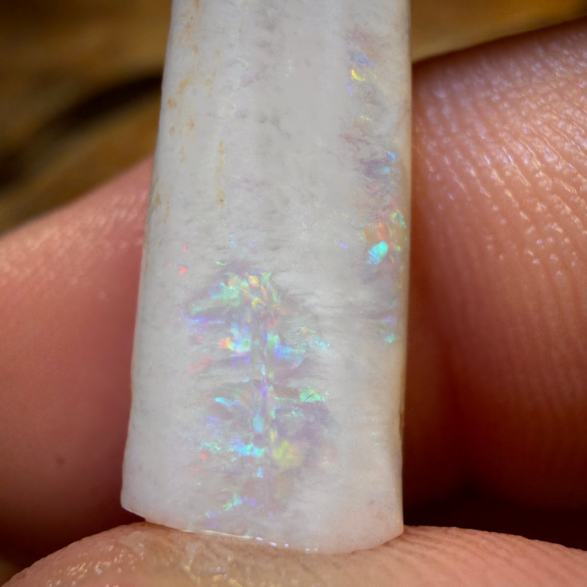 14.9cts - Opalised Belemnite Geological Specimen from South Australia