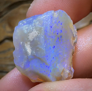 31.1cts - Lightning Ridge Opal Rough Piece