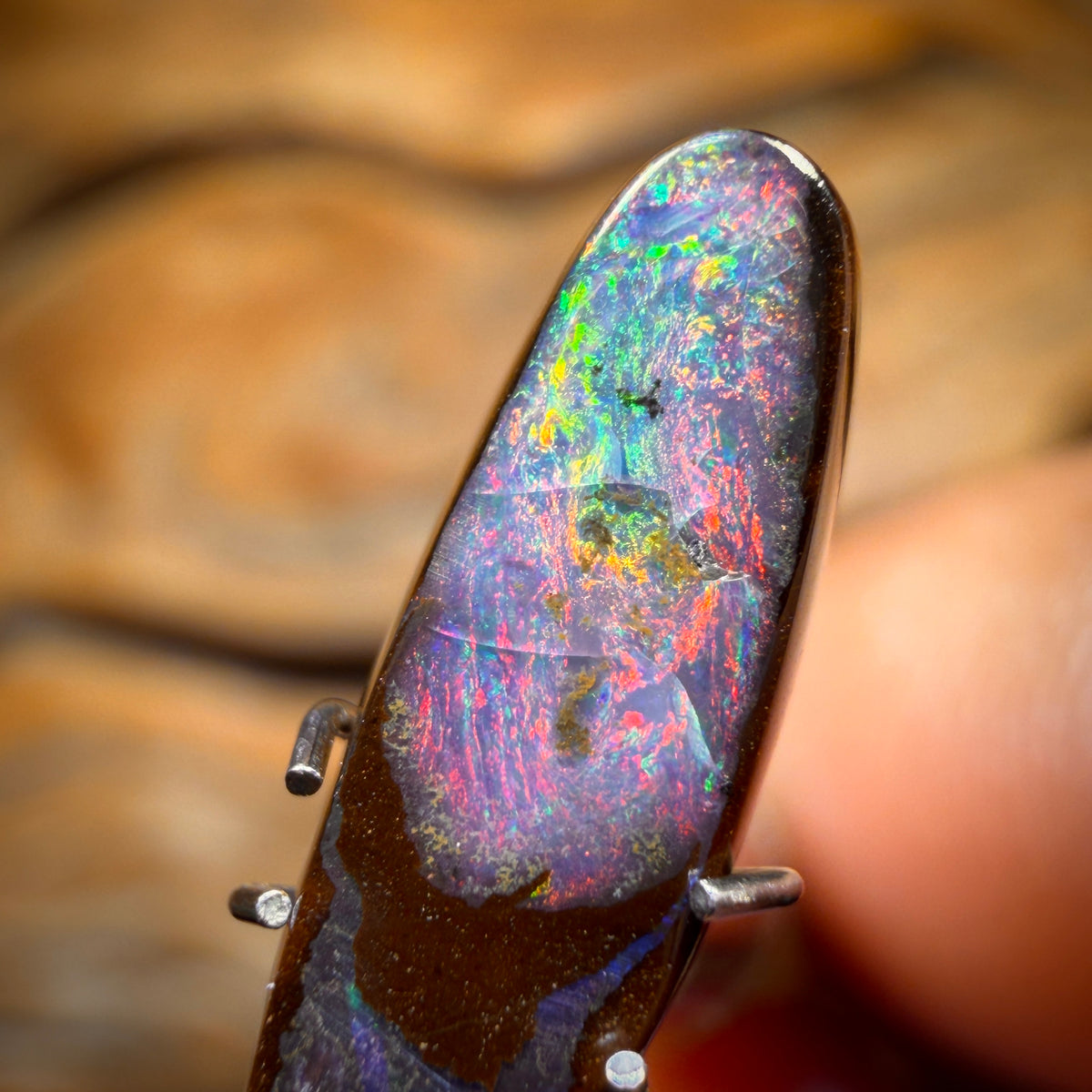🔨 AUCTION 🔨 Reserve 💎 High Roller Banger Auction 💎 2.5cts - Black Queensland Boulder Seam Opal from Winton