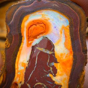 310.5cts - Yowah Nut Partial Crystal Centre Rough Specimen Pair