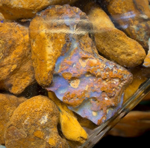 656cts - Jar of Yowah Nut Opal Rough w/ Fossil Opal