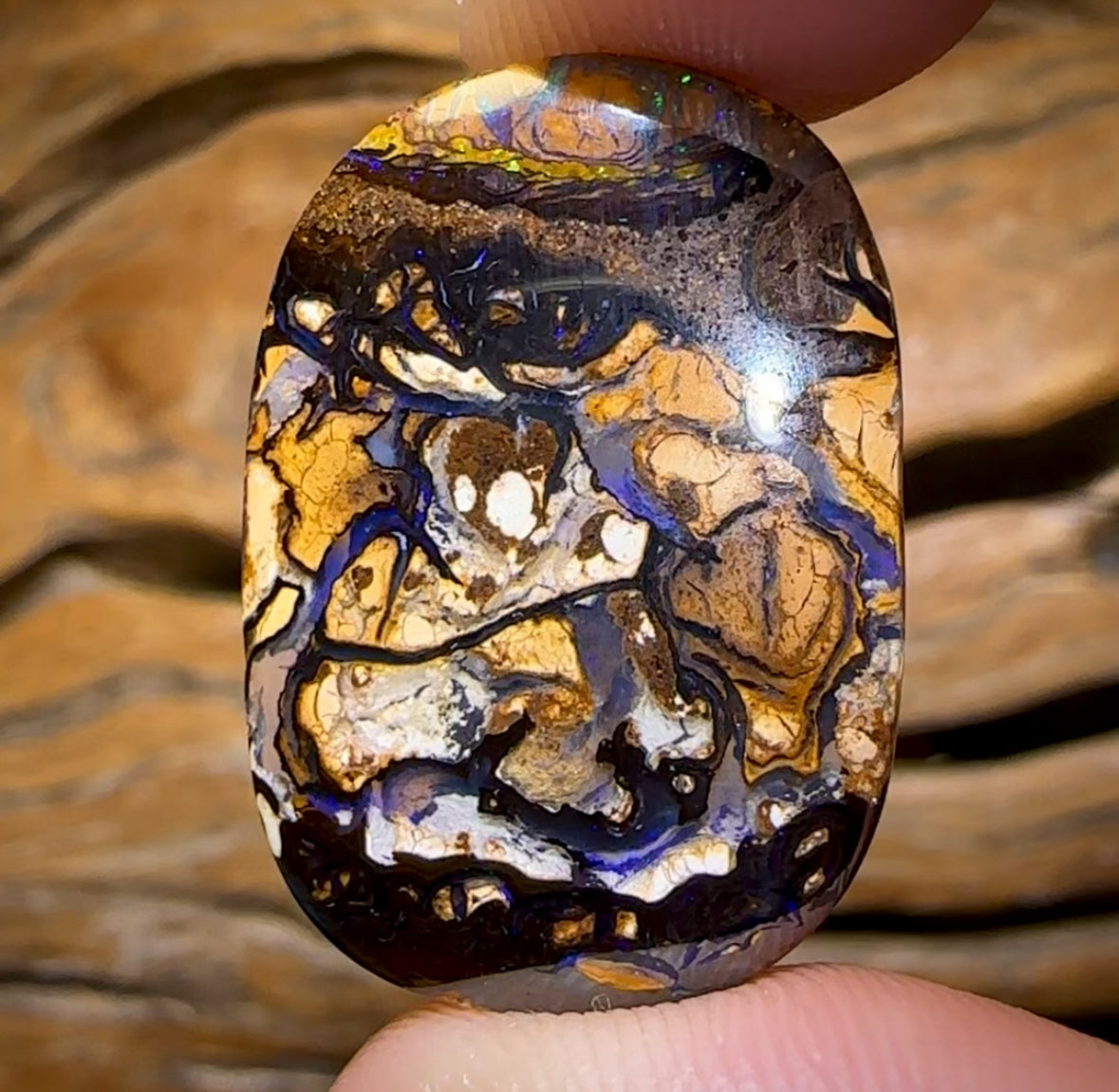 🔨 AUCTION 🔨 15.7cts - Great Tribal Queensland Boulder Opal from Koroit