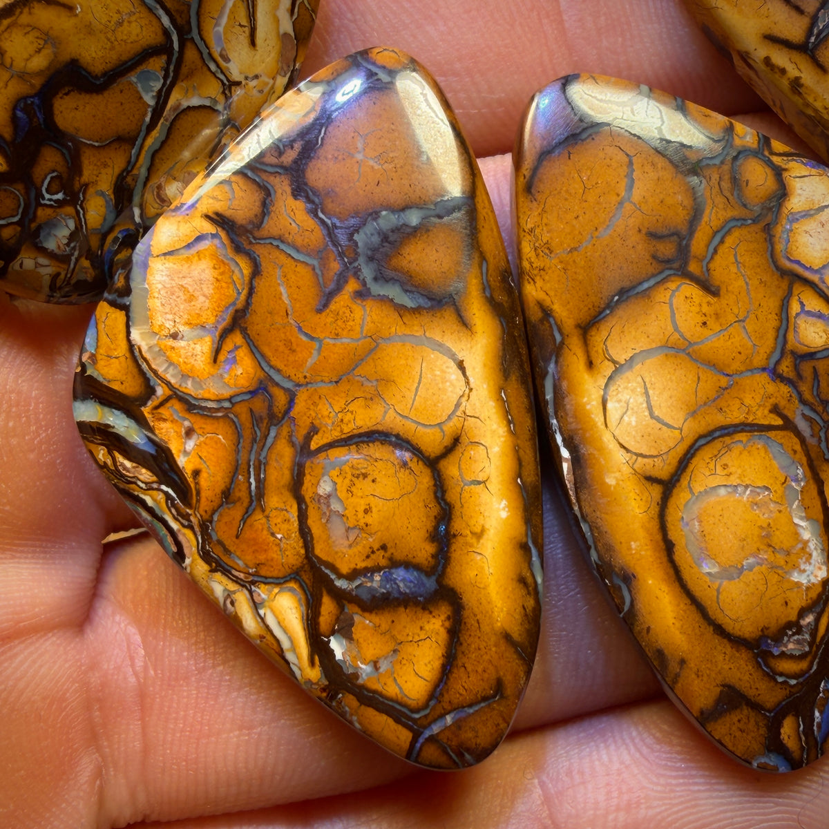 Get TWO FREE Card!113.6cts - Yowah Nut Tribal Family Parcel. Australian Opal