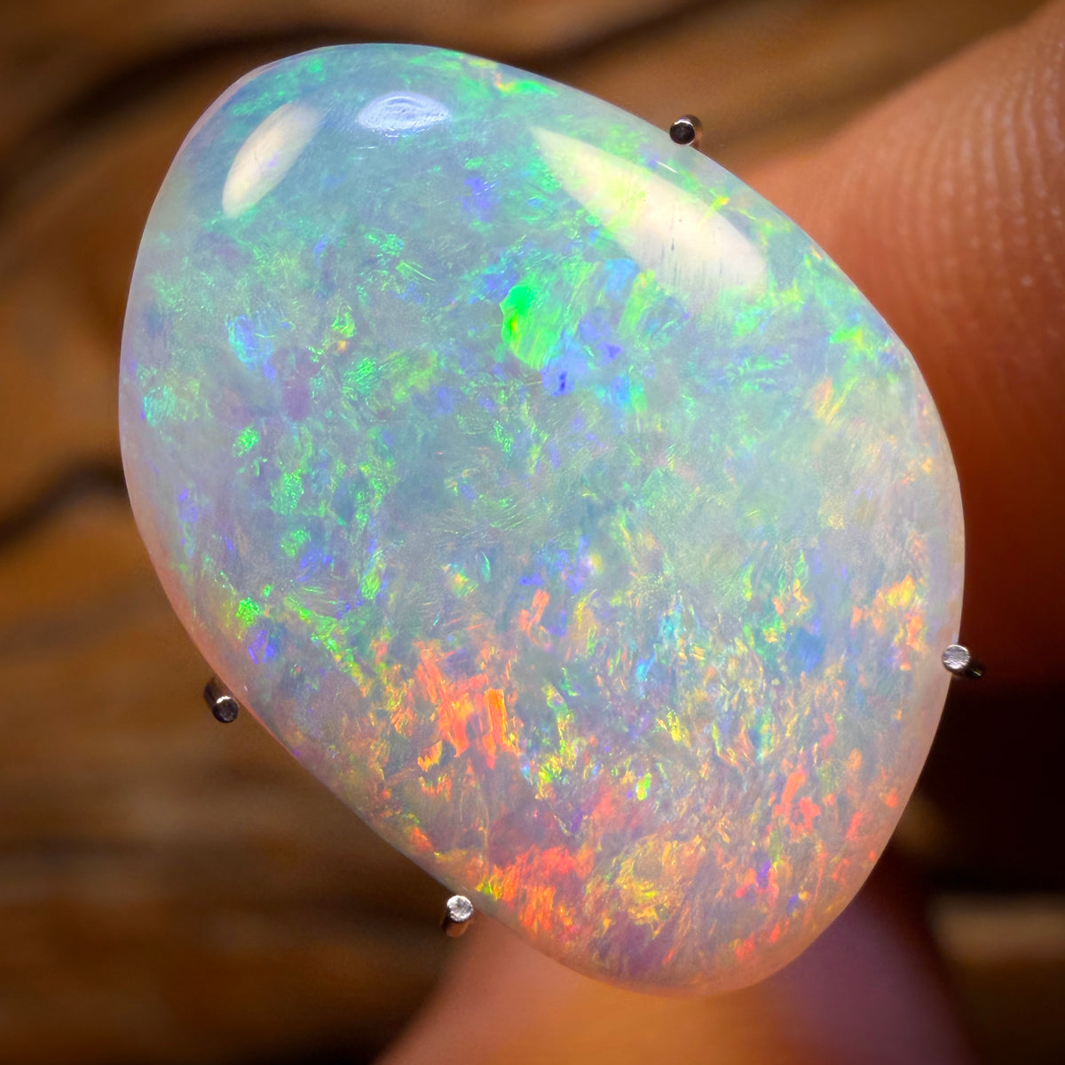 Banger Card! 4.6cts - Gem Rare South Australian Crystal Opal from Mintabie