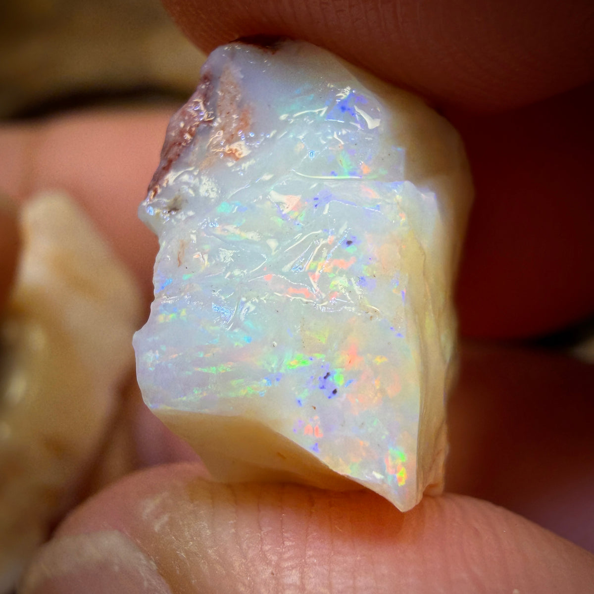 75.1cts - 3x South Australian White Opal Rough Parcel