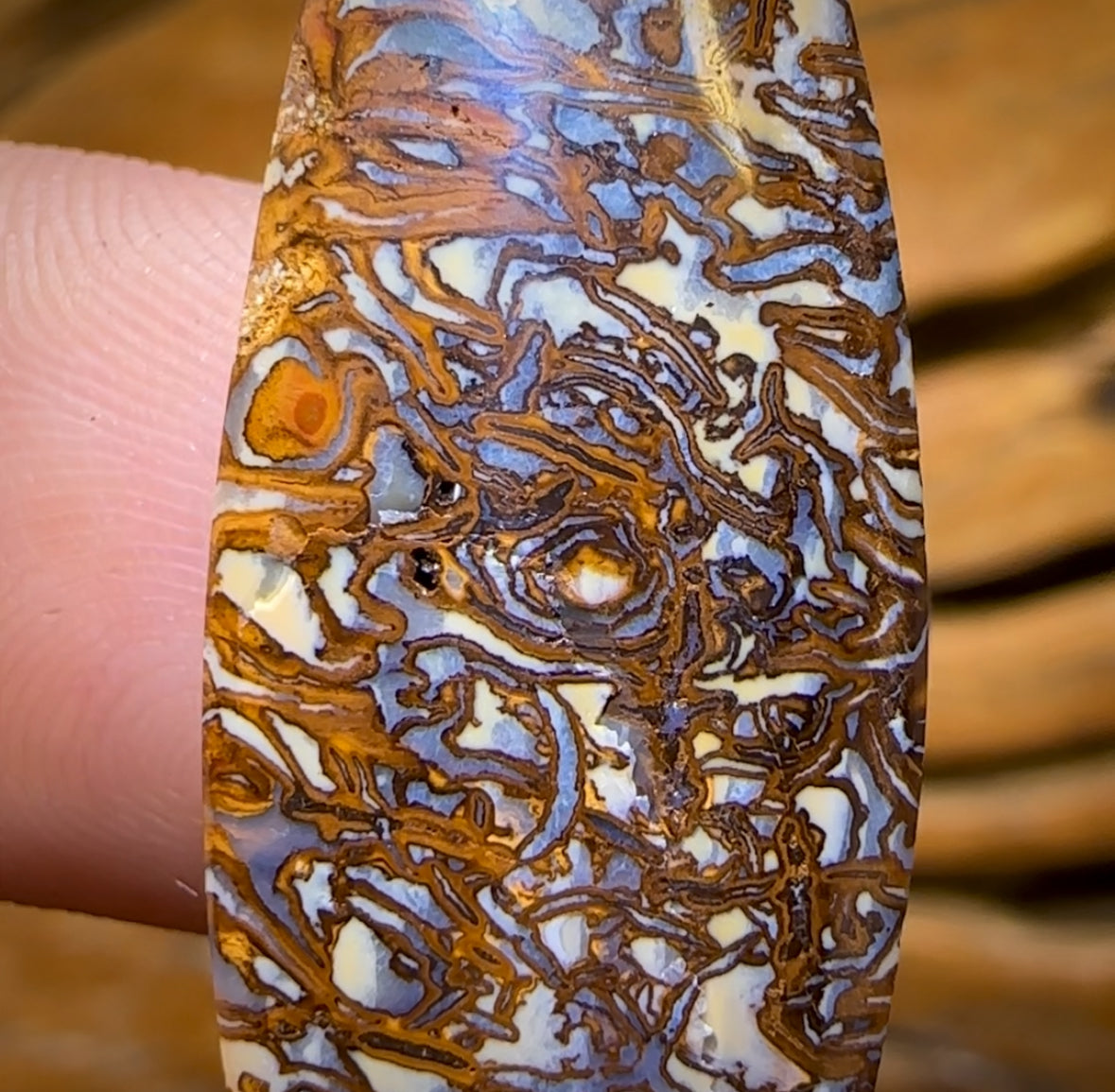 19.1cts - Awesome Tribal Queensland Boulder Opal. Double Sided!