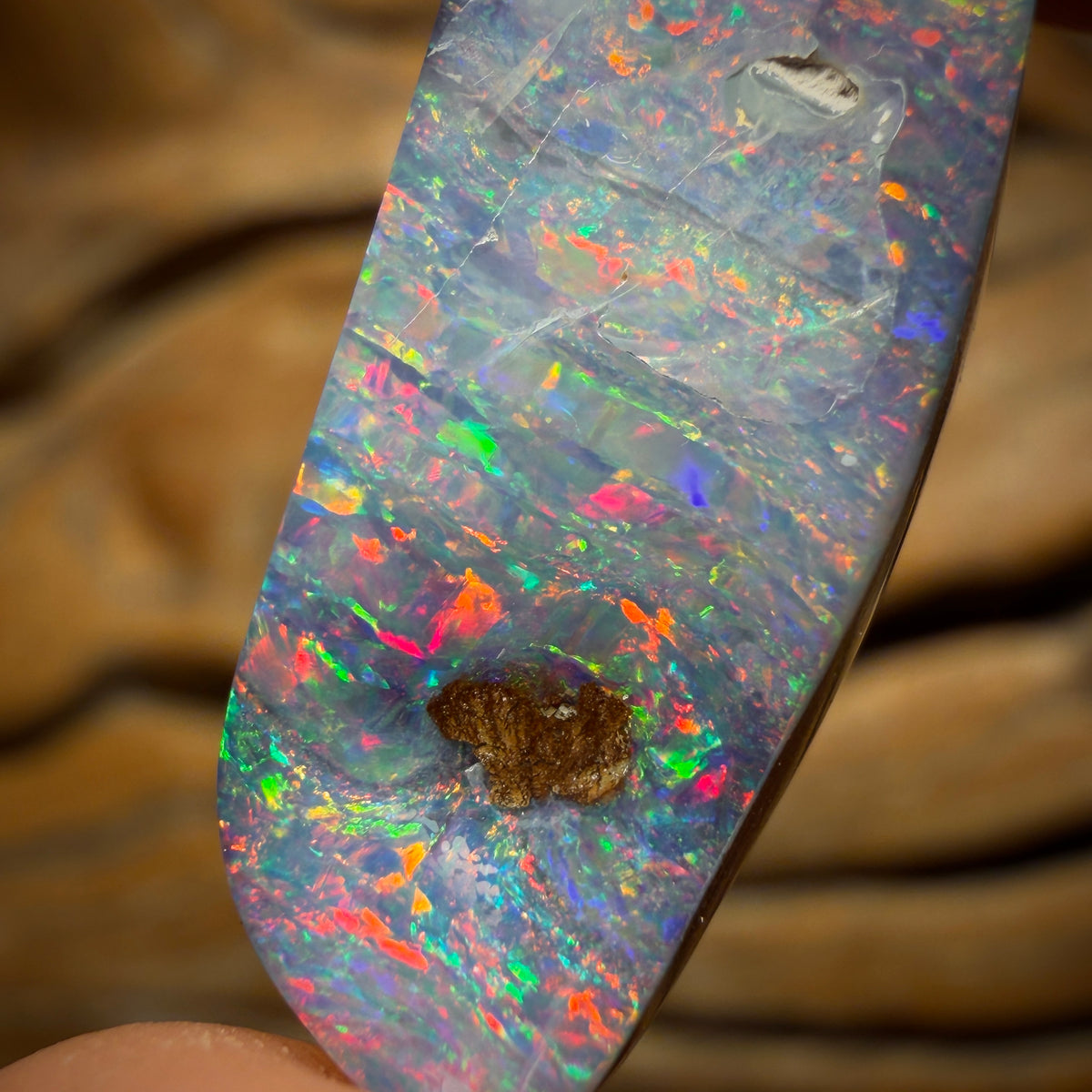 🔨 AUCTION 🔨 Reserve 💎 High Roller Banger Auction 💎 16.7cts - Queensland Boulder Seam Opal from Winton