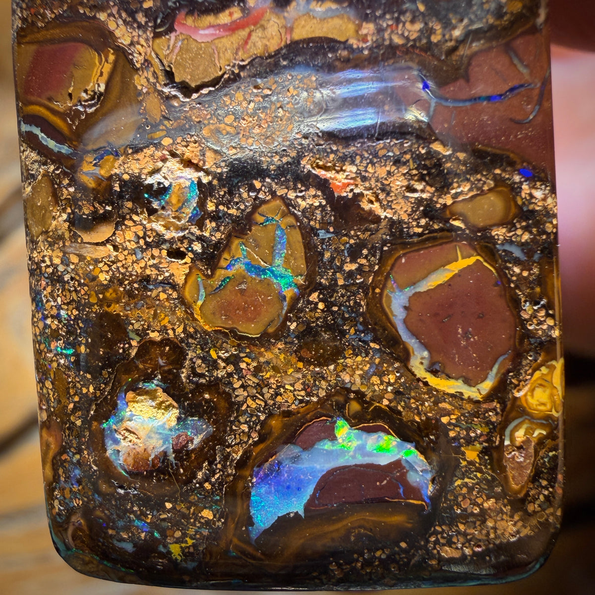 Wild Card! 32 x 22mm - Drilled Tribal Queensland Boulder Opal Necklace