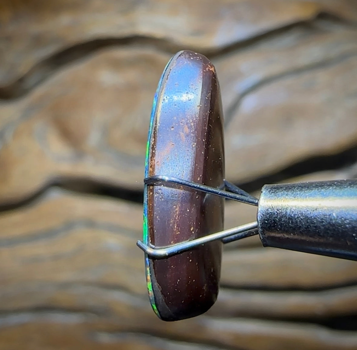 8.5cts - TOP Australian Boulder Opal Doublet - Opal Whisperers