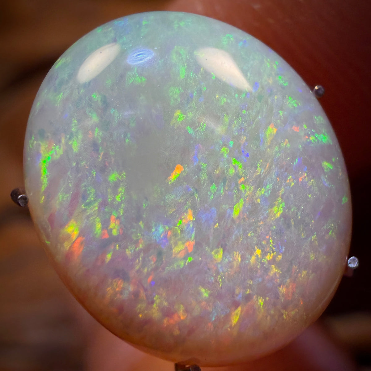6.4cts - Solid Australian Boulder Crystal Opal from Yowah