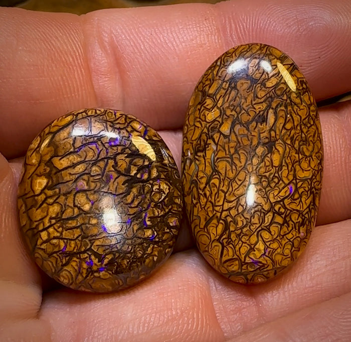 64,5 ct - Loses Set aus Queensland Boulder Opal