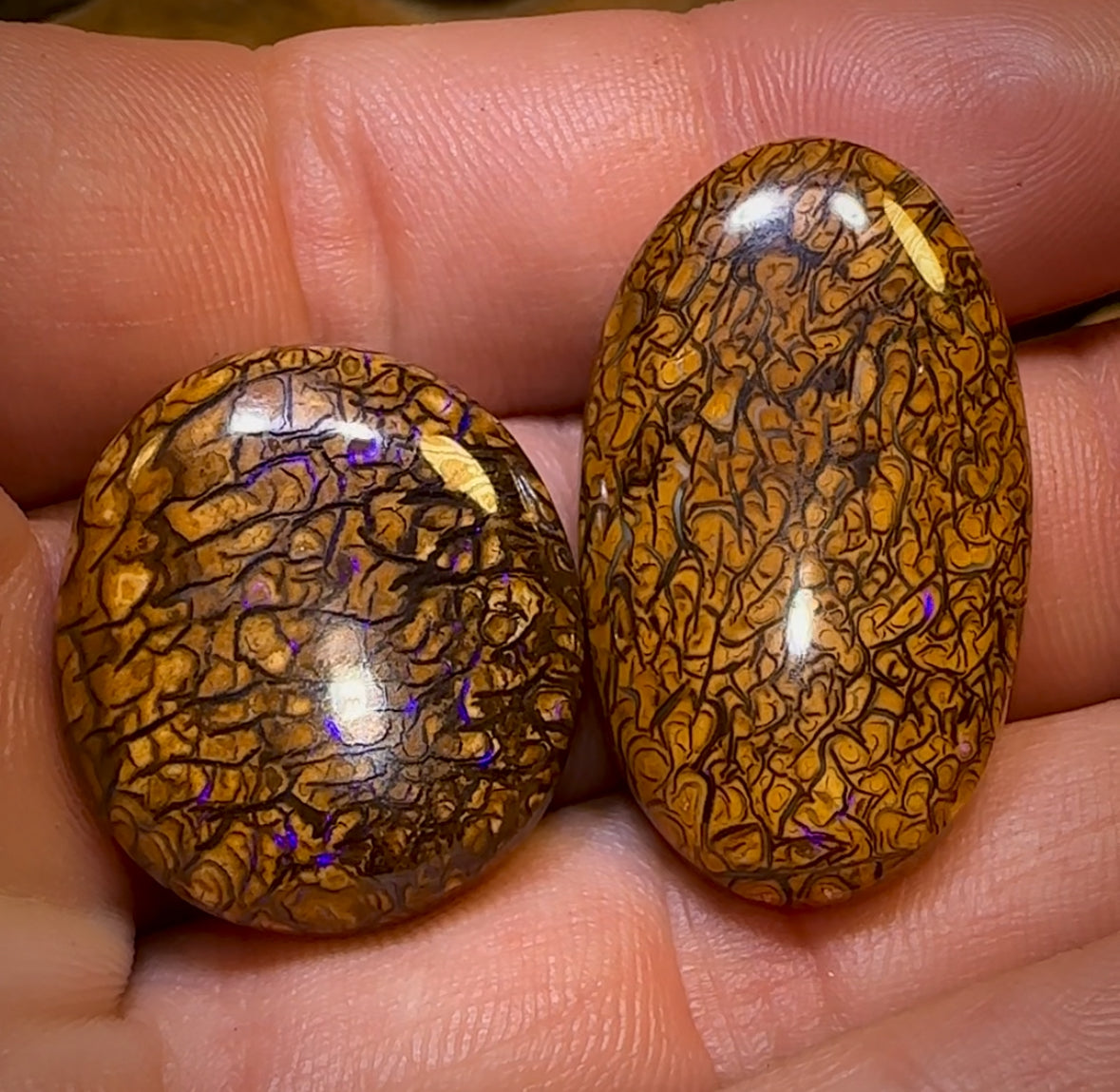 64.5cts - Loose Queensland Boulder Opal Set