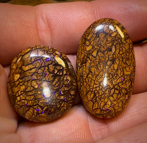 64.5cts - Loose Queensland Boulder Opal Set