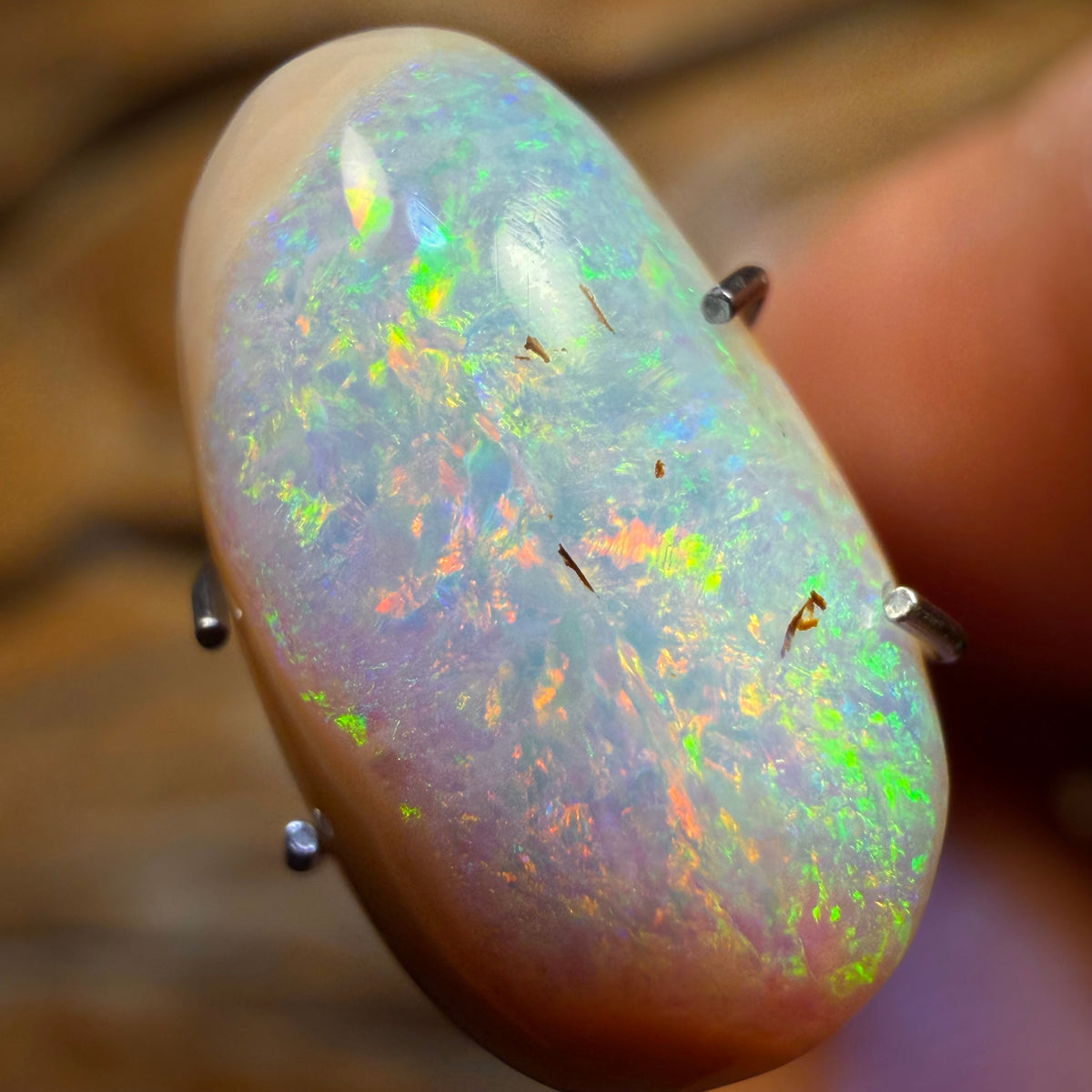3.6cts - WILD CARD! Australian Boulder Opal from Yowah