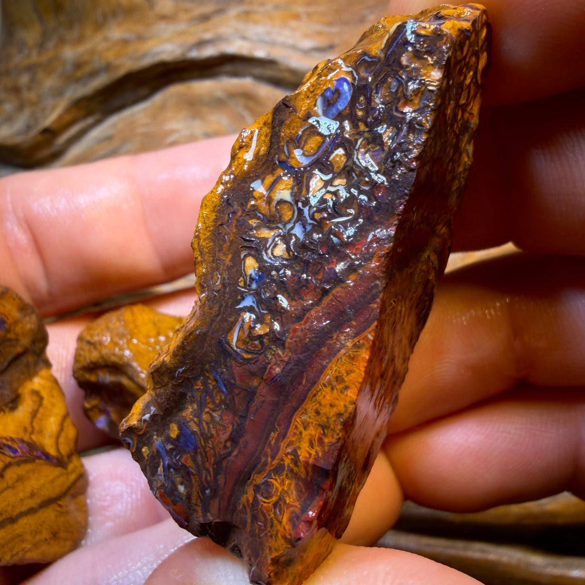 TGIF 410.1cts - 3x Yowah Nut Opal Rough Parcel. Australian Boulder Opal