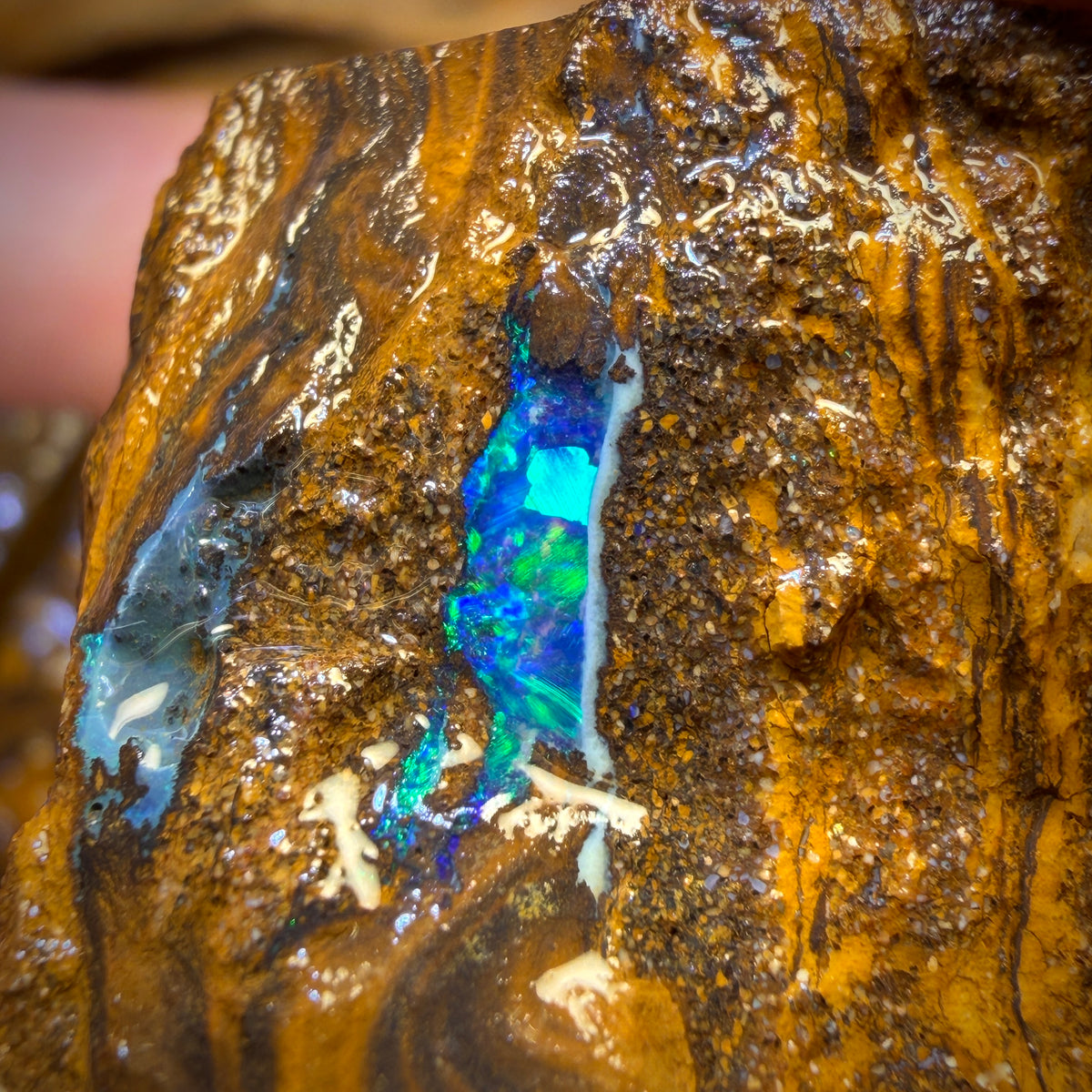 274cts - 3x Queensland Boulder Opal Rough Parcel from Duck Creek