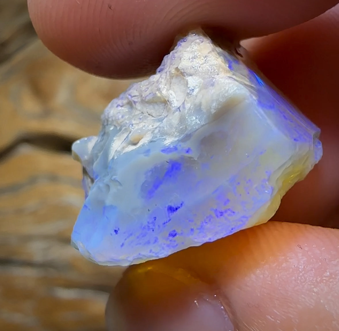 31.1cts - Lightning Ridge Opal Rough Piece