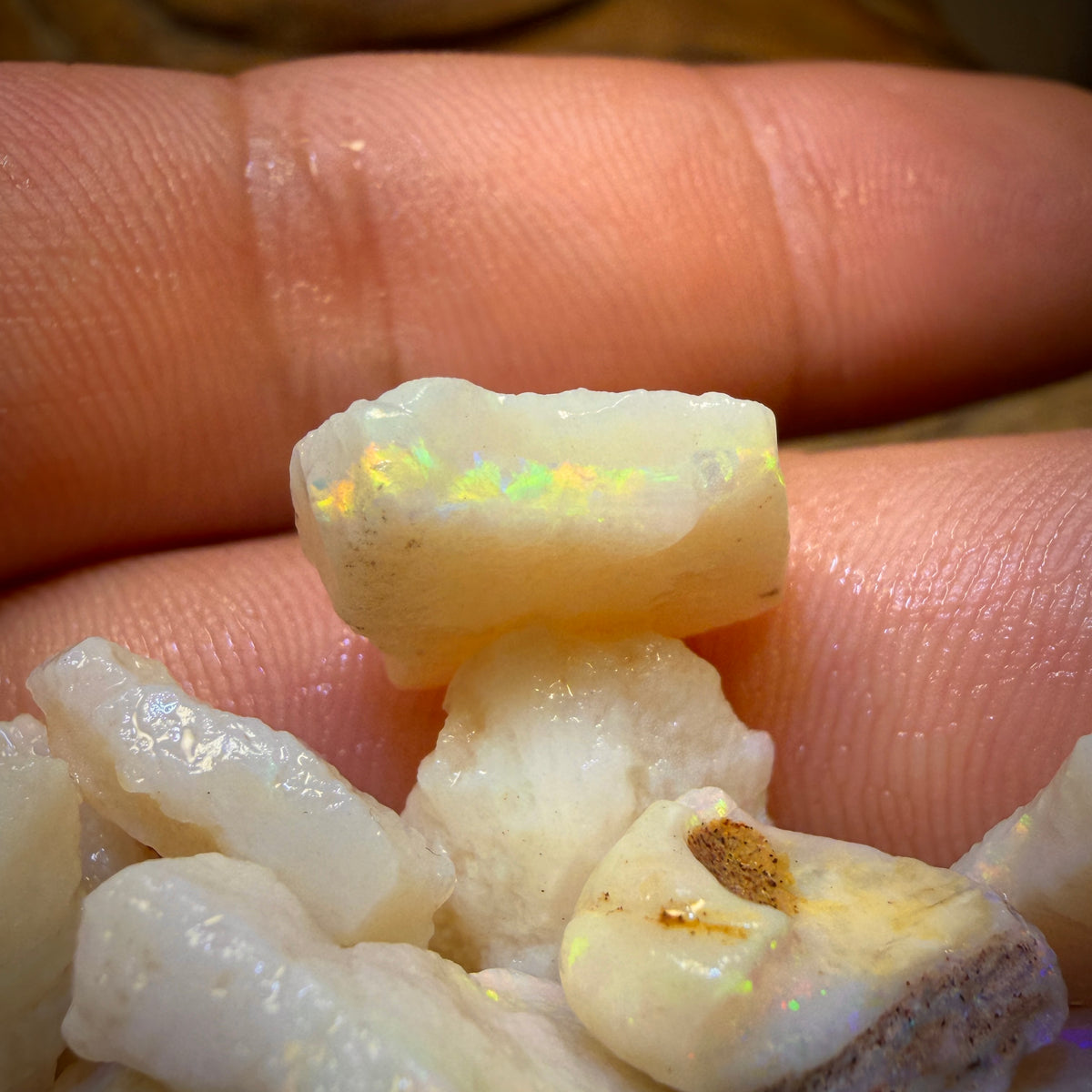 🔨 AUCTION 🔨 91.6cts - 20x South Australian White Opal Rough Parcel
