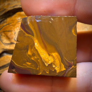 199.2cts - Found whilst Filming for Discovery Channel Duck Creek Boulder Opal Rough Preform