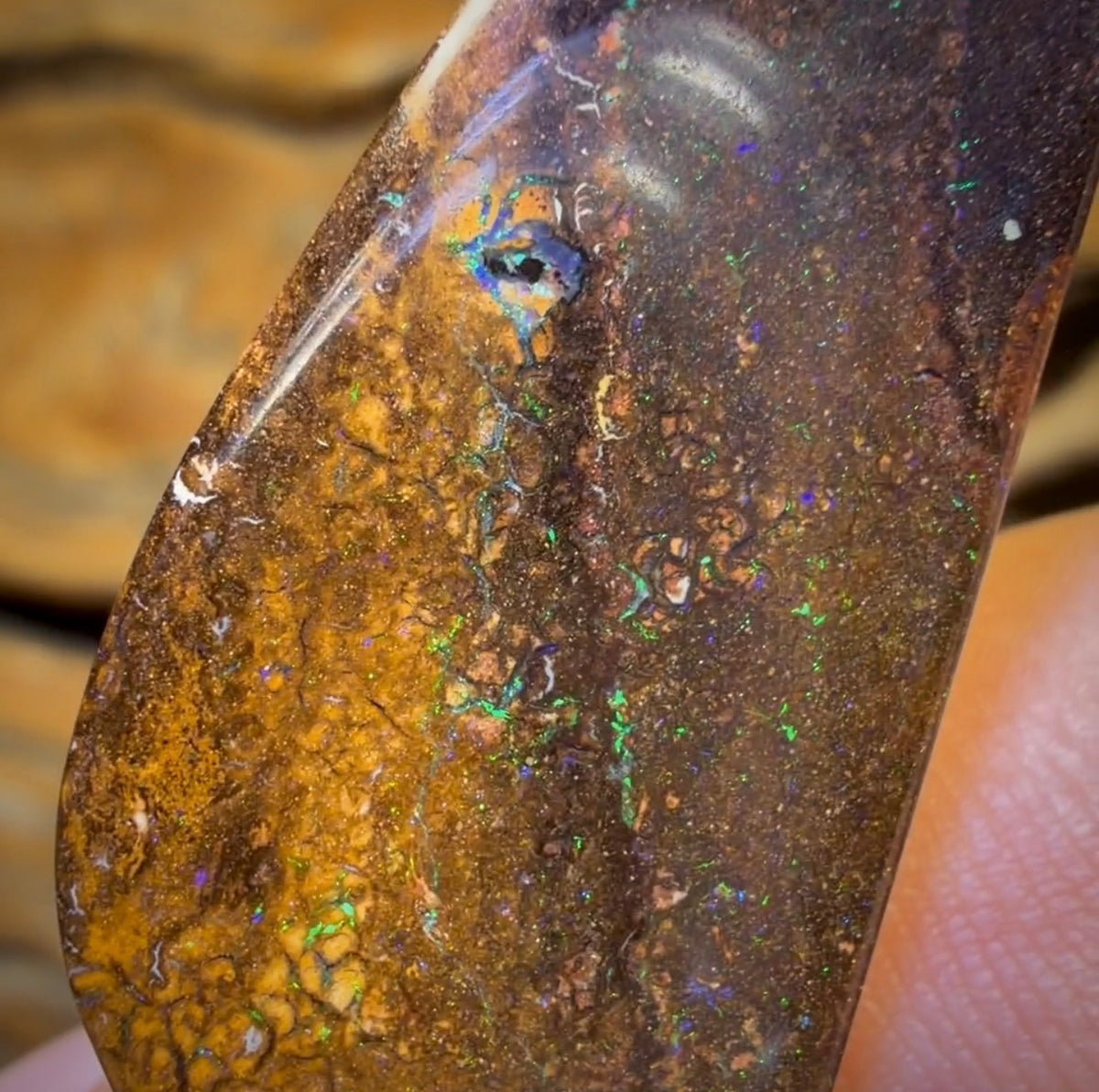 33.3cts - Tan Tribal Yowah Nut Australian Opal. Great Sail Cut